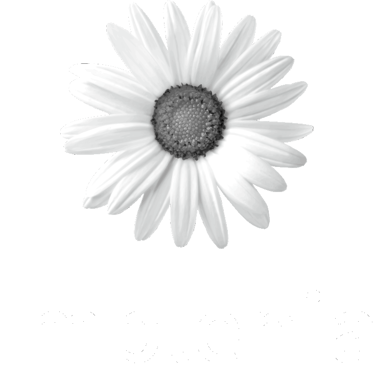 Implenia AG